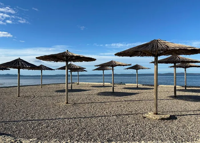 Laura 1 * פריבלאקה