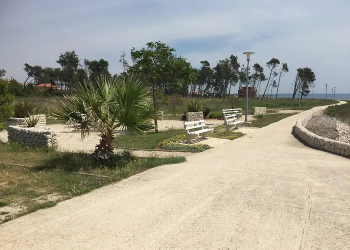 Laura 1 פריבלאקה